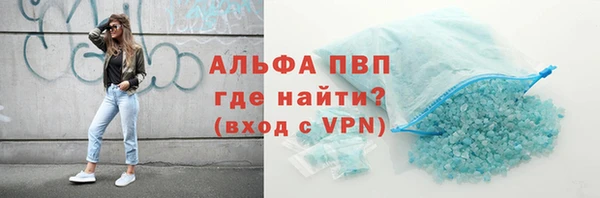 стафф Арсеньев