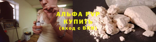 стафф Арсеньев