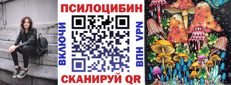 сколько стоит  Валдай  Псилоцибиновые грибы Psilocybe 